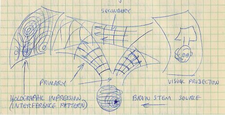 Brain hologram wavefront paths