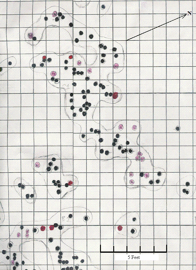 Map of mushroom
locations