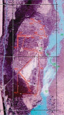 Hatchie Coon ground survey