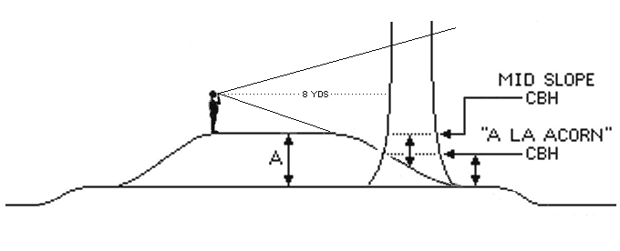 Levee Cross Section