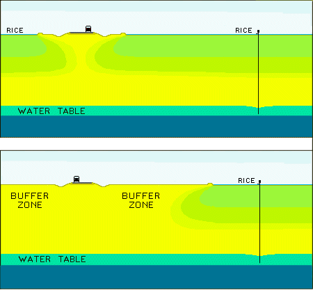 rice fields buffers